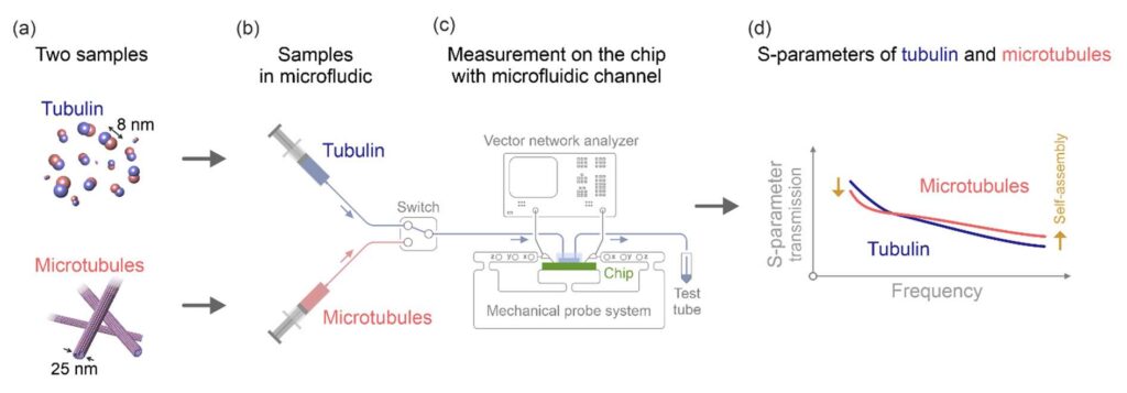 schématický diagram