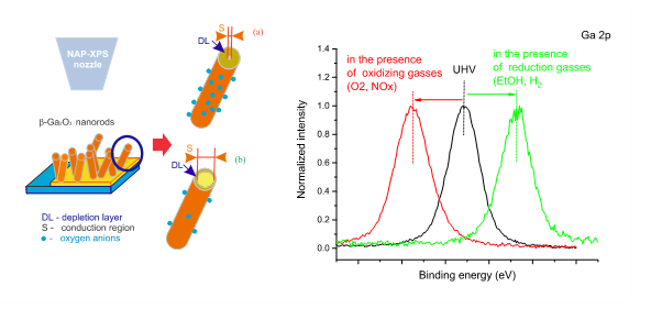 schema